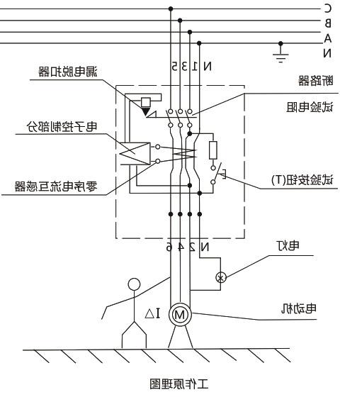 DZ25LE系列(透明)漏电断路器-滚球app集团