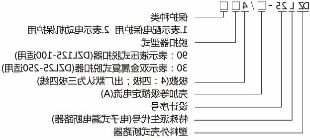 DZ25LE系列(透明)漏电断路器-滚球app集团